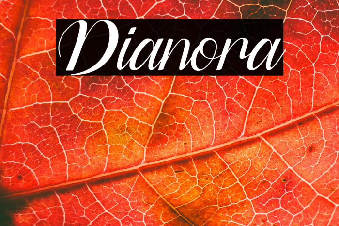 Dianora Example 3