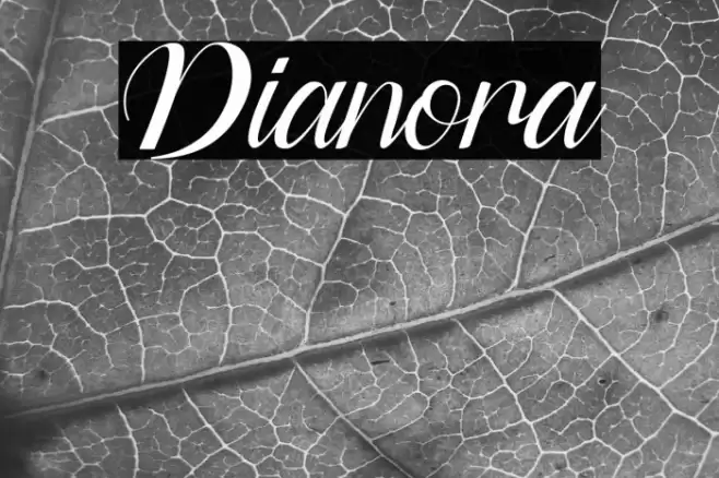 Dianora Font examples
