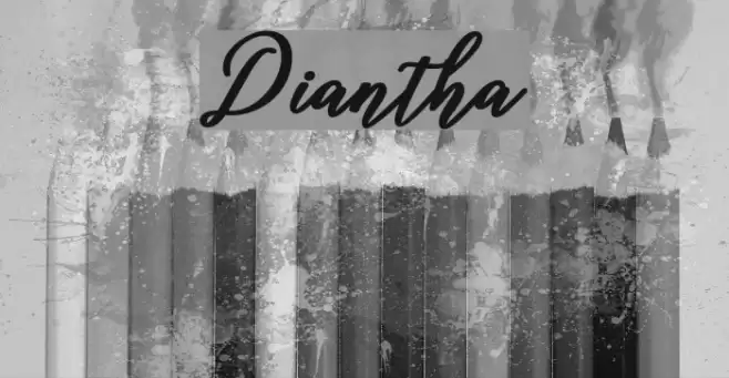 Diantha Font examples