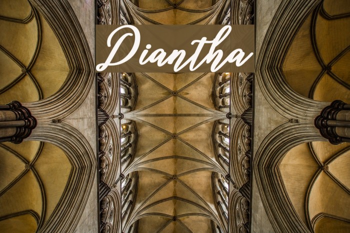 Diantha Font examples