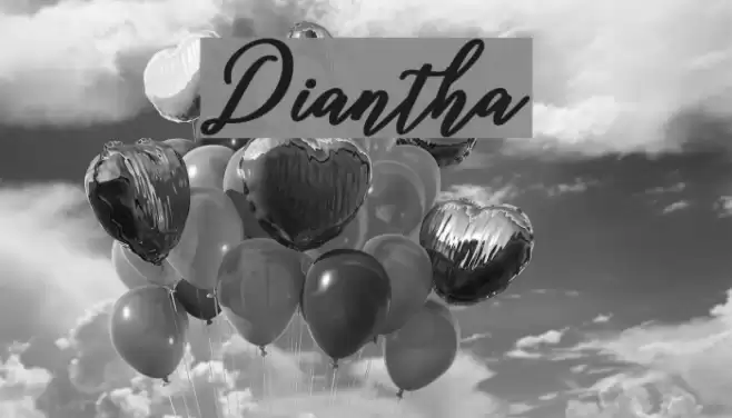 Diantha Font examples