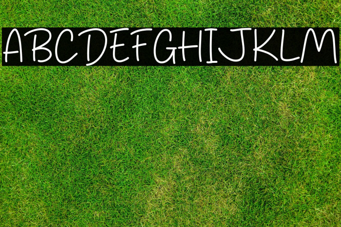 Diary Agustus Example 1