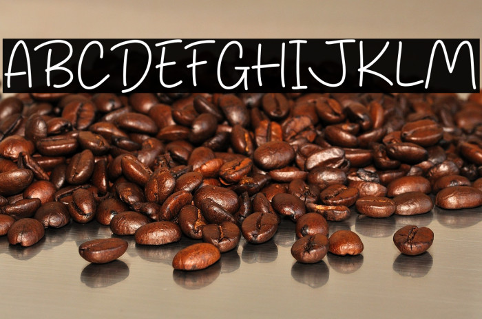 Diary Agustus Example 2