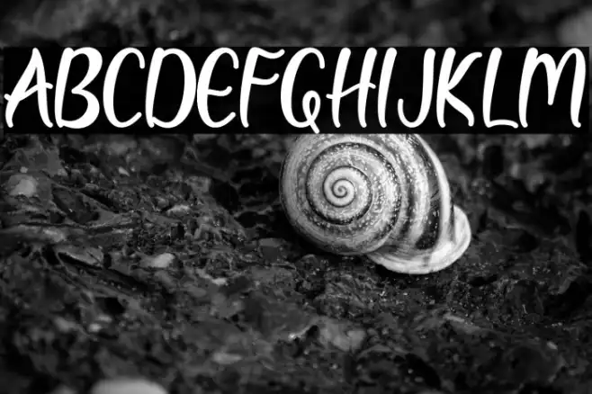 Diary Autumn Example 1