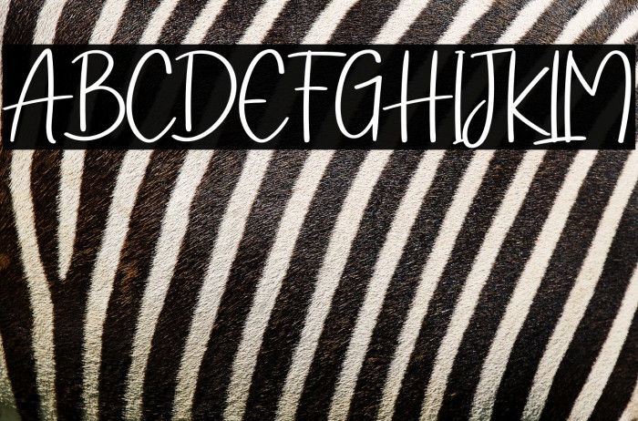 Diary Of Christmas Example 2