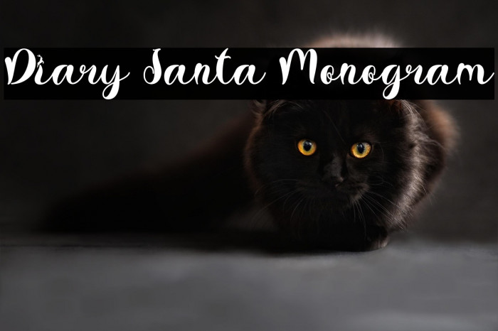 Diary Santa Monogram Example 3