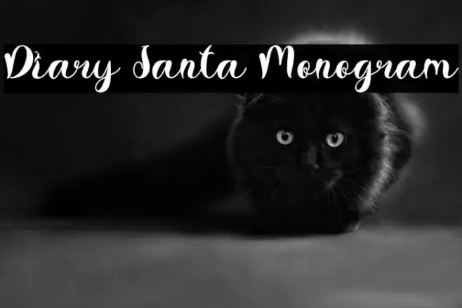 Diary Santa Monogram Example 3