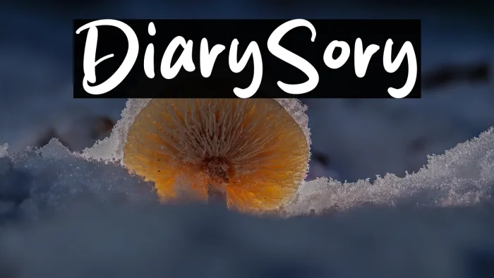 Diary Story Example 3