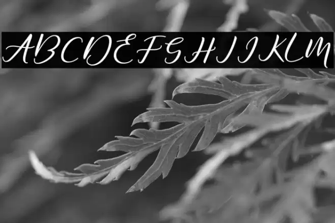 DiaryAmily-Regular Font examples