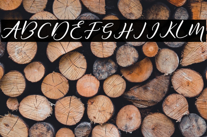 DiaryAmily-Regular Example 2