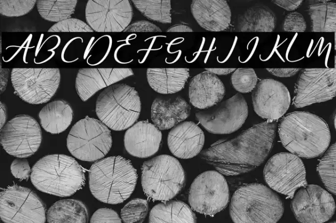 DiaryAmily-Regular Font examples