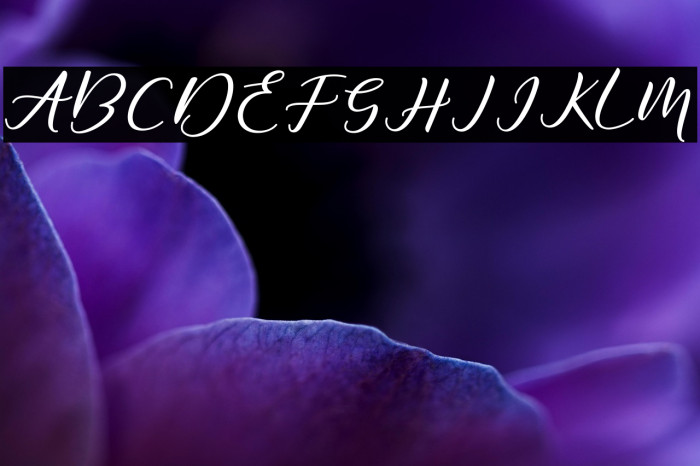 DiaryAmily-Regular Example 3