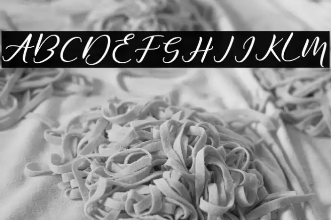 DiaryAmily-Regular Font examples