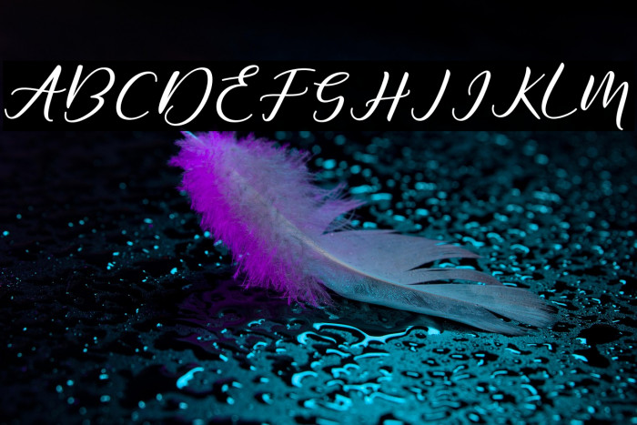 DiaryAmily-Regular Example 3