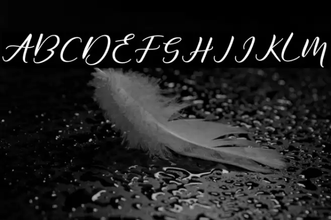 DiaryAmily-Regular Font examples