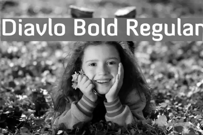 Diavlo Bold Regular  examples