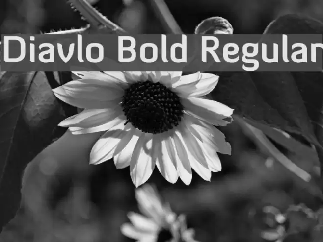 Diavlo Bold Regular  examples