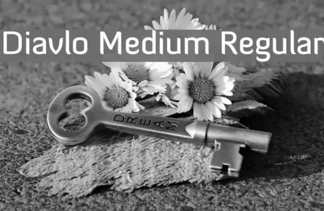 Diavlo Medium Regular  examples