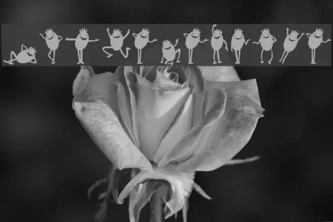 Diavolo Nero Font examples