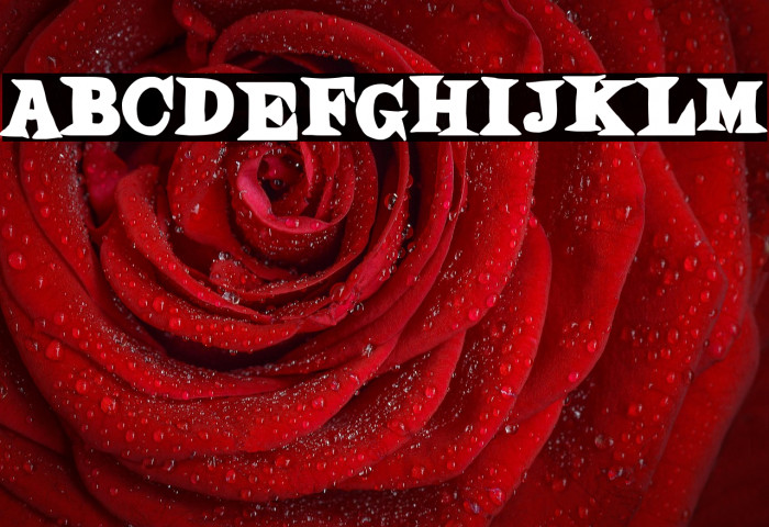 Dibujos Animados Example 1