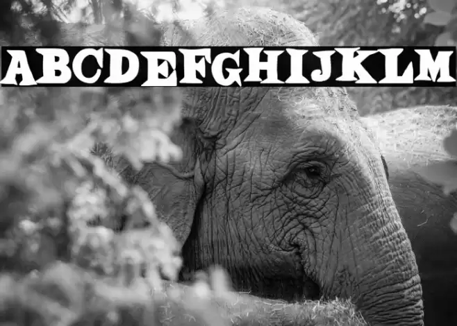 Dibujos Animados Font examples