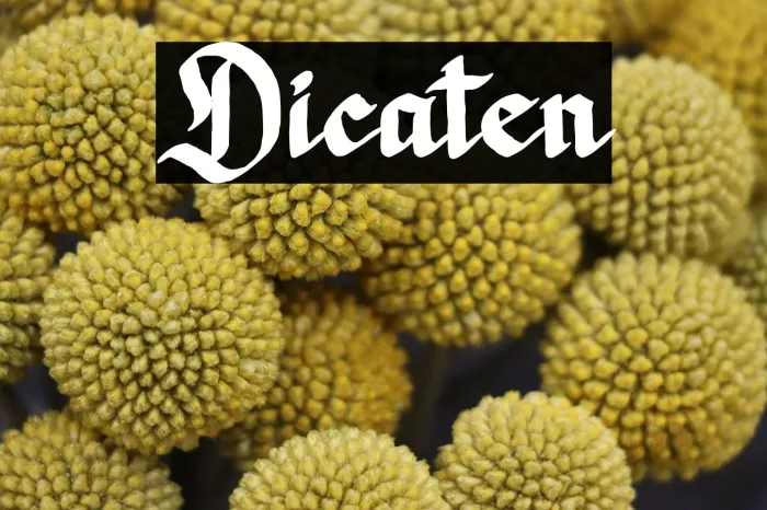 Dicaten Example 2