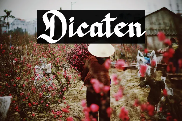 Dicaten Example 3