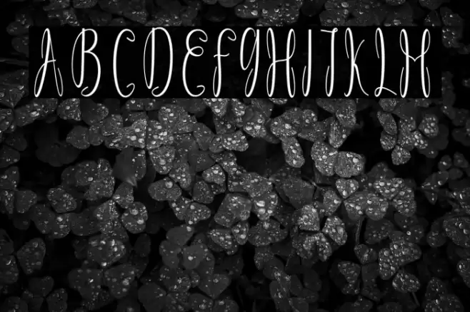 Dicella Font examples