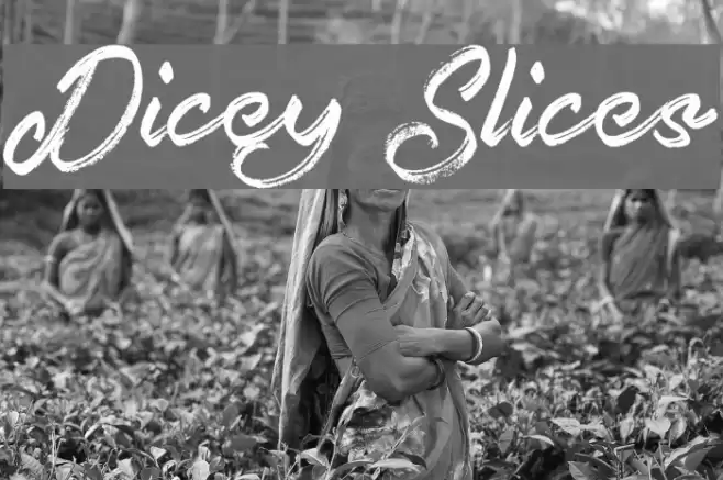 Dicey Slices フォント examples