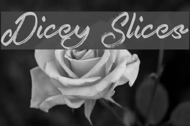 Dicey Slices フォント examples