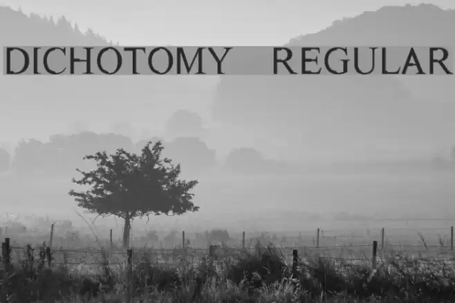 Dichotomy Regular Font examples