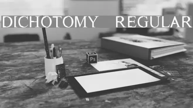 Dichotomy Regular Font examples