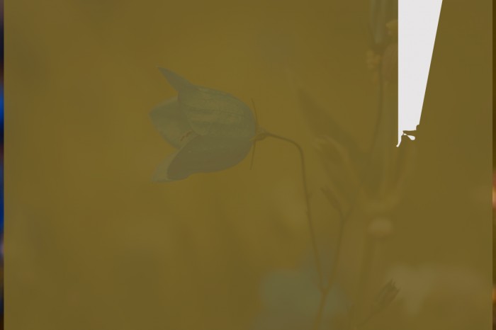 DickChamberlainsDeathF Font examples