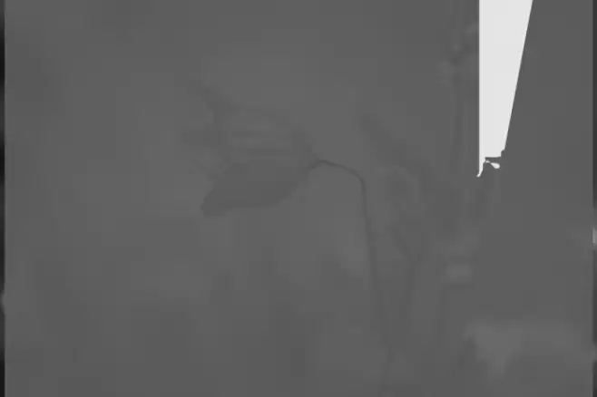 DickChamberlainsDeathF Font examples