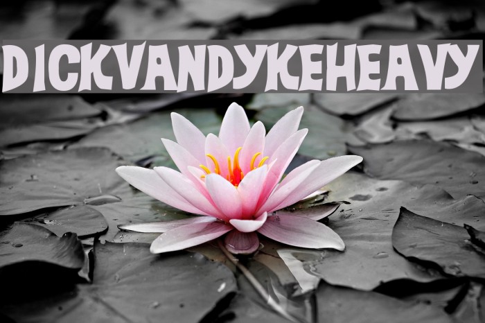 DickVanDykeHeavy Font examples