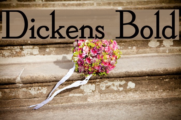 Dickens Bold Font examples