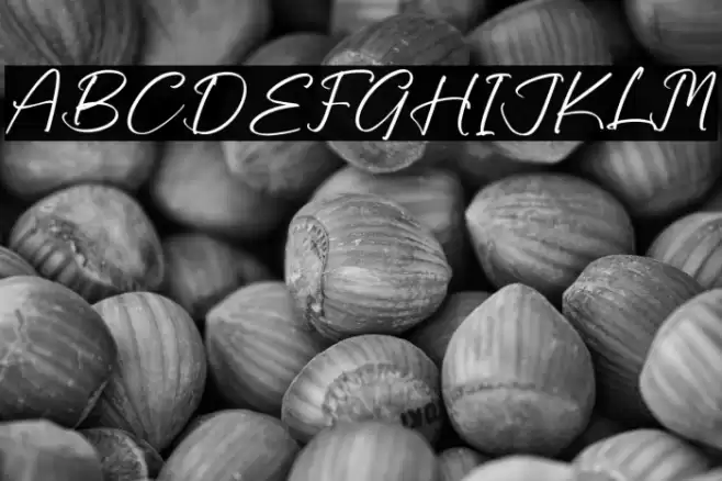 Dickerson Gatory Caratteri examples