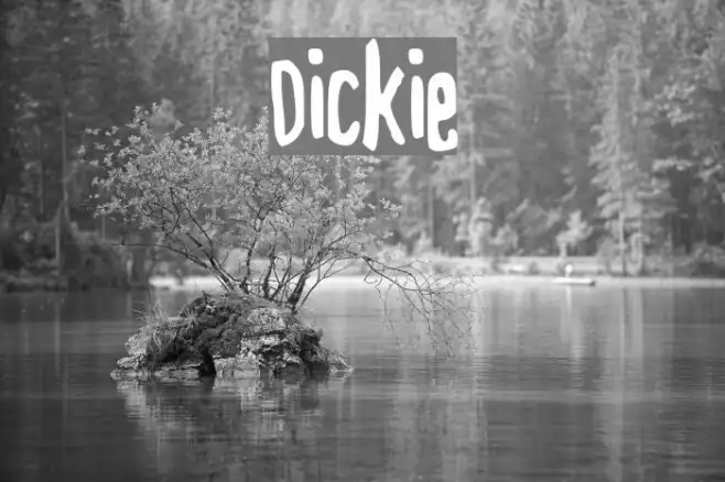 Dickie Example 1