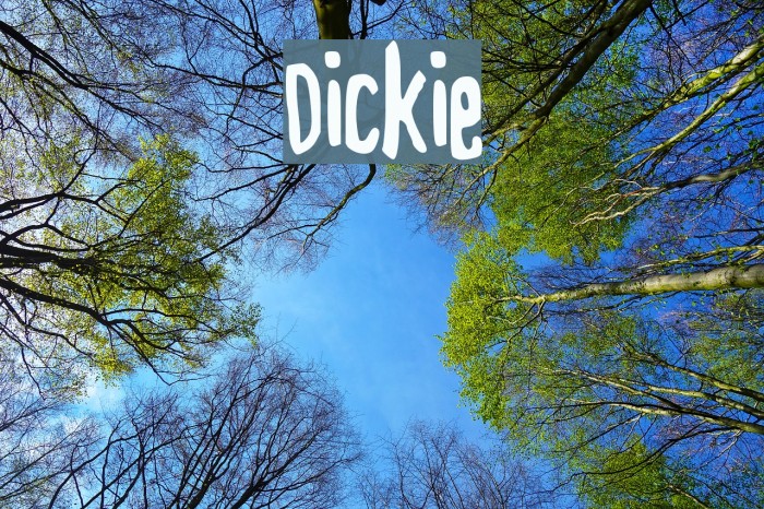 Dickie Font examples