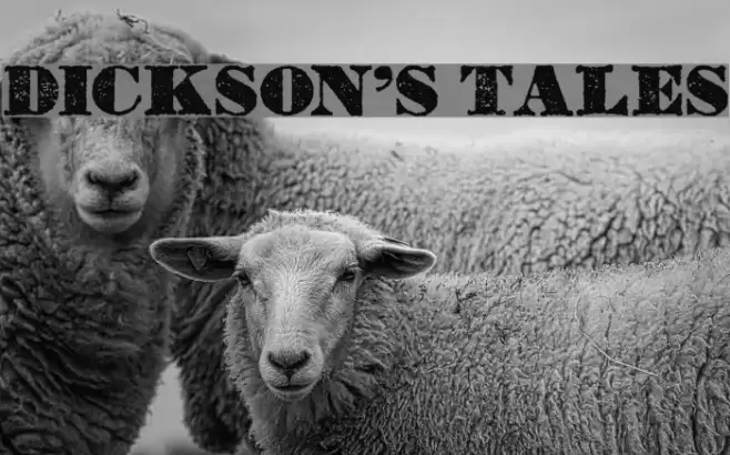 Dickson's Tales Font examples