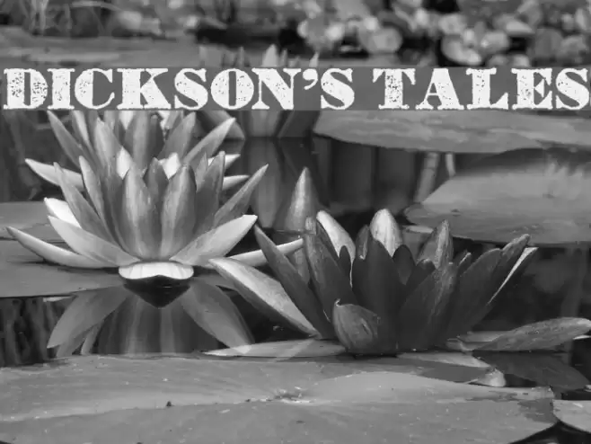 Dickson's Tales Font examples