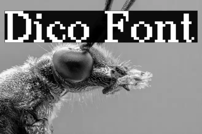 Dico Example 1