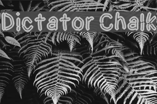 Dictator Chalk Font examples