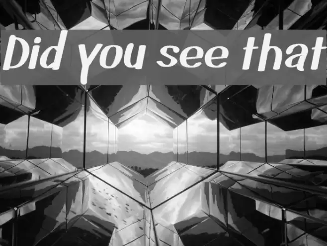 Did you see that Font examples