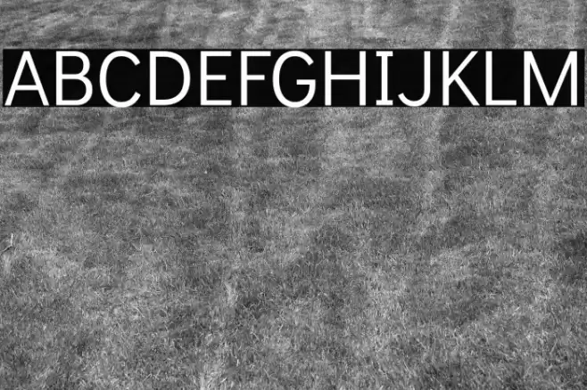 Didact Gothic Regular Font examples