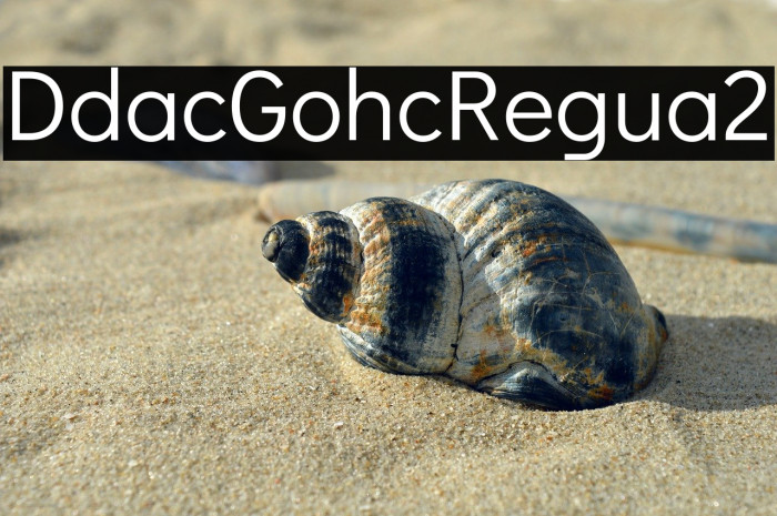 Didact Gothic Regular2 Example 1