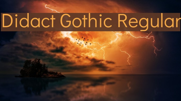 Didact Gothic Regular Fuentes examples