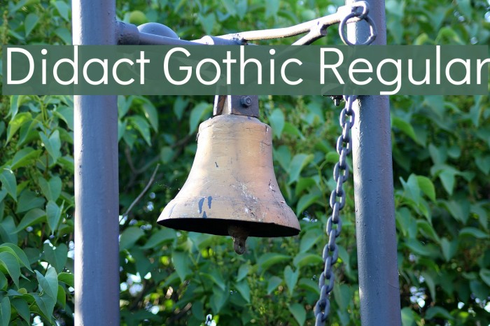 Didact Gothic Regular Fuentes examples