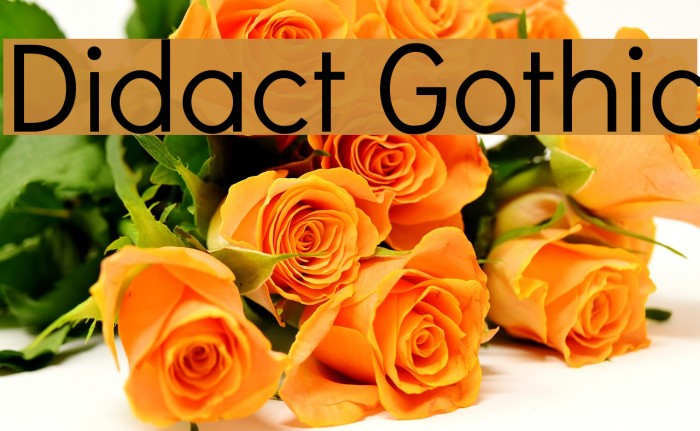 Didact Gothic Font examples