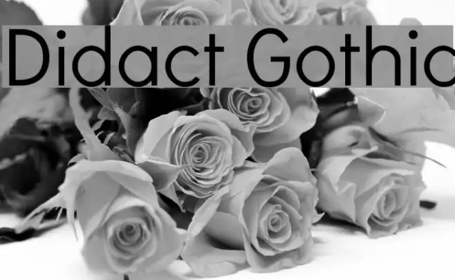 Didact Gothic Example 1